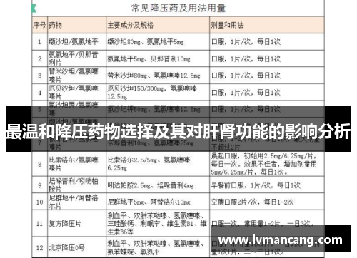 最温和降压药物选择及其对肝肾功能的影响分析